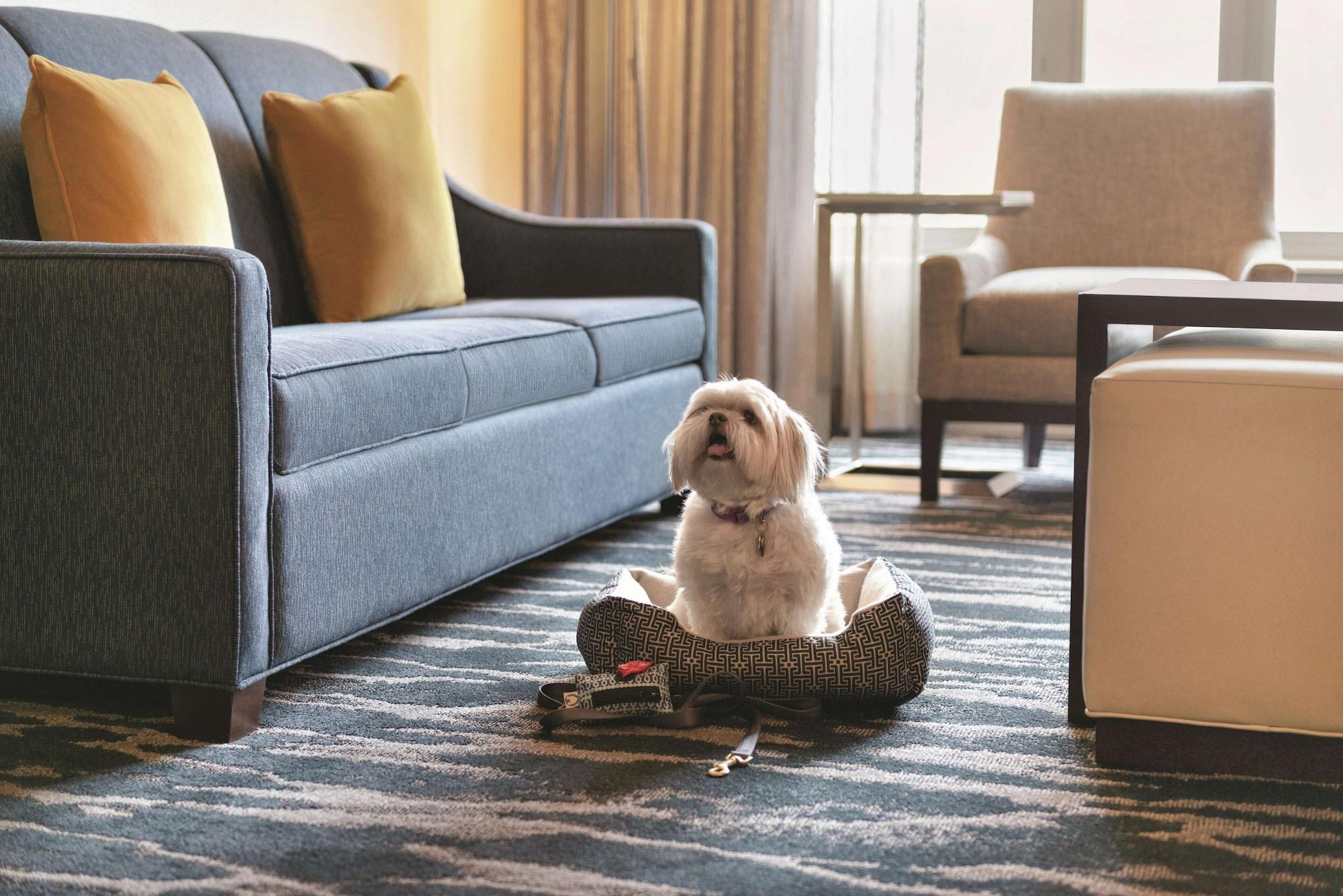 Homewood Suites By Hilton-Seattle Convention Center-Pike Street מראה חיצוני תמונה